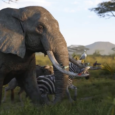 サークル・オブ・ライフ