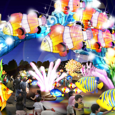 カクレクマノミの森