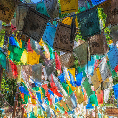 カラフルなアフリカエリア