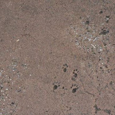 かわいい足あと♡