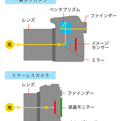 一眼レフカメラとミラーレスカメラの違い