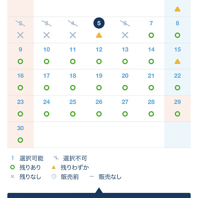 ディズニーチケット購入時の画面