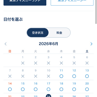 ディズニーチケット購入時の画面