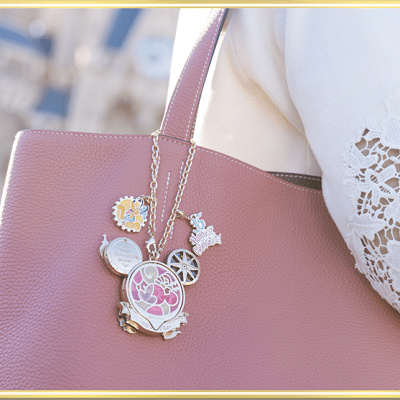 ディズニーランドのアニバーサリーパーツ