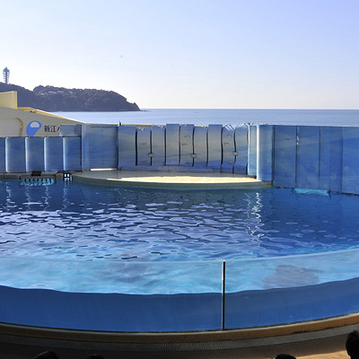 イルカショースタジアム