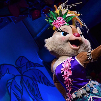 鑑賞のためには事前予約を忘れずに