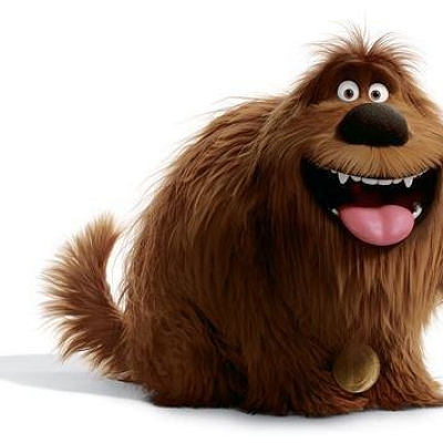 デューク／映画『ペット』