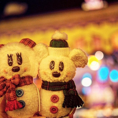 ディズニーランドで夜景を楽しもう！