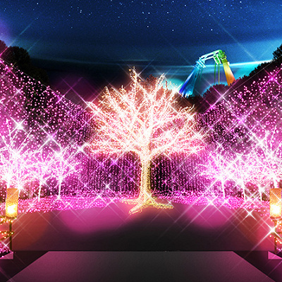 相模湖のイルミネーションの入場料金