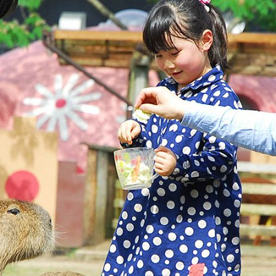 心身ともにリラックスできる阿蘇ファームランドの施設