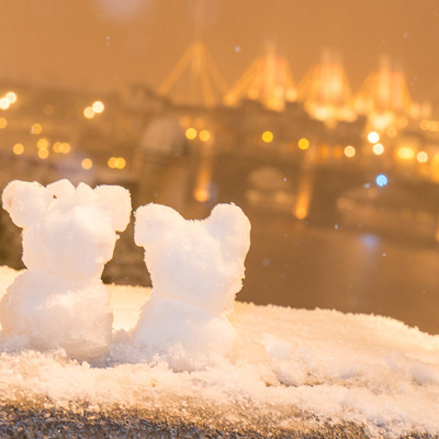 2月のディズニーの服装：2月の天気（千葉県）