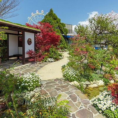 フラワーガーデン