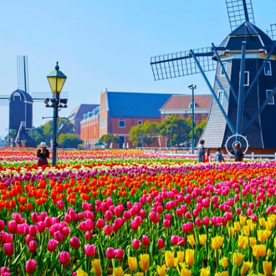 フラワーロード