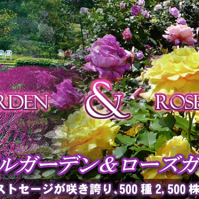 「あしかがフラワーパーク」のお花