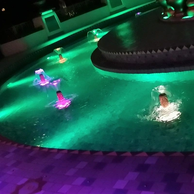ジャスミンのフライングカーペット(夜の水面)