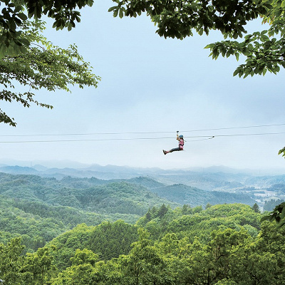 森のジップライン ムササビ