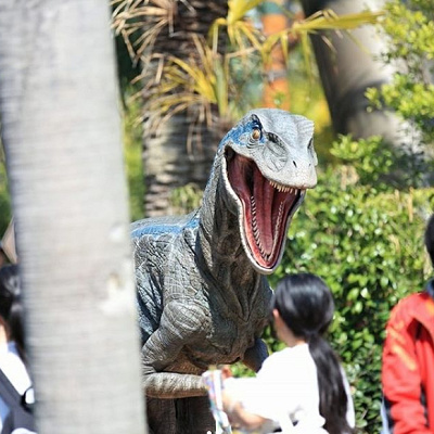 フロッグマン・クワイア