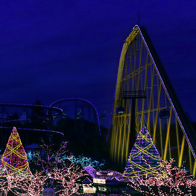 黄金に照らされるゴールデン・バンデット