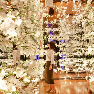 「大胡蝶蘭展」