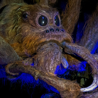 ハリポタ映画：アクロマンチュラはどんな魔法生物？