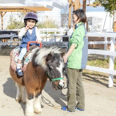 ホースライド