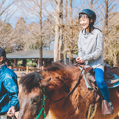 乗馬体験