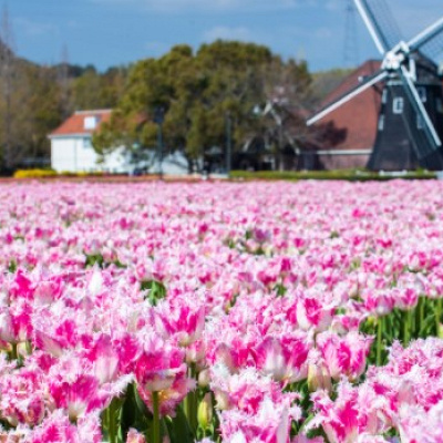 ハウステンボス