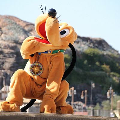 プルートを発見したらミッキーに連絡を！