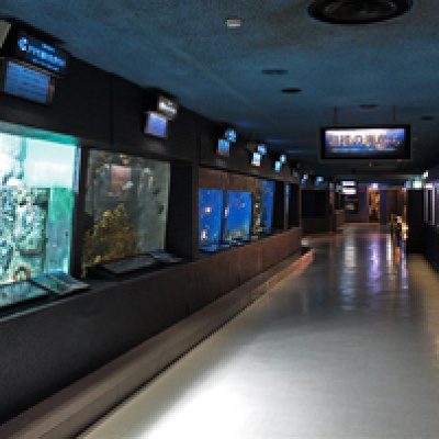 京急油壺マリンパークの館内／京急油壷マリンパーク