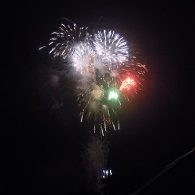 入間納涼花火大会