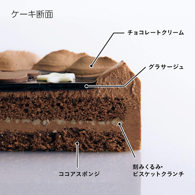 ディズニー クリスマスケーキ「ミッキーマウス」　