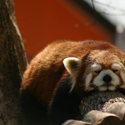 疲れたら休むことが大事