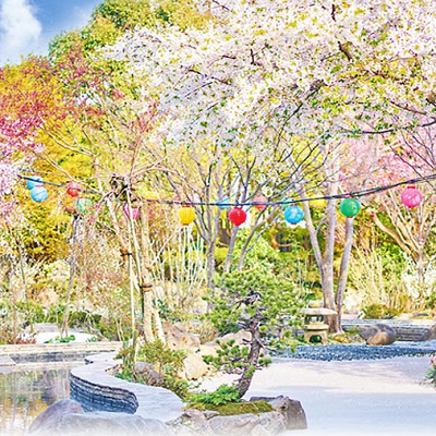 日本庭園×足湯の「足湯庭園」