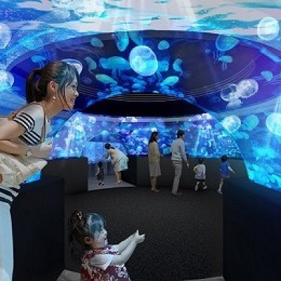 クラゲワンダーのアーチ状の入口