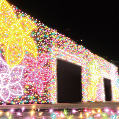 ジュエリーフラワー