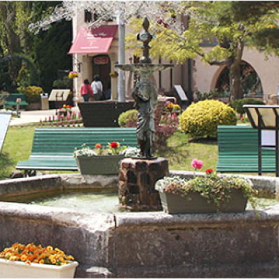 河口湖オルゴールの森