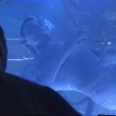 キーワード・アバター