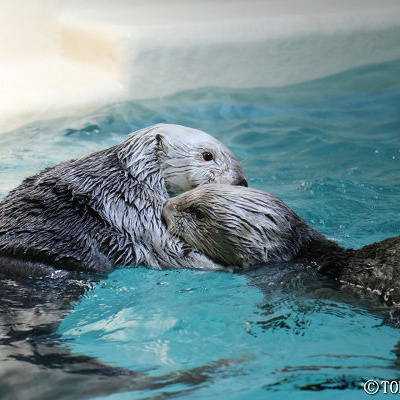 左：メイ　右：キラ