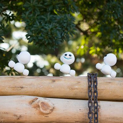 スノーギースを見つけよう♪