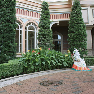 ダンサーさんの仮装をしている方もたくさんいますね