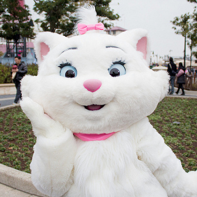 美しい白い毛が印象的なマリー