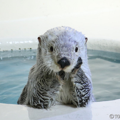 ポーズをとるメイ