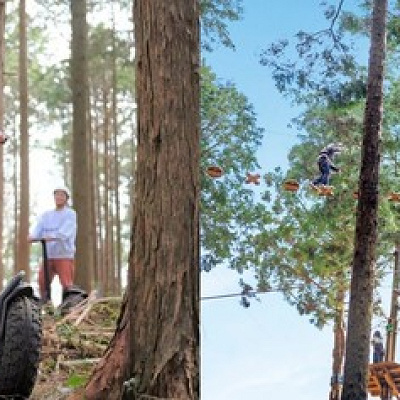 三島スカイウォークのアクティビティ