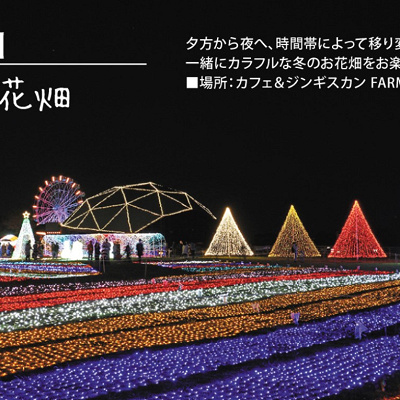 マザー牧場のイルミネーション2021