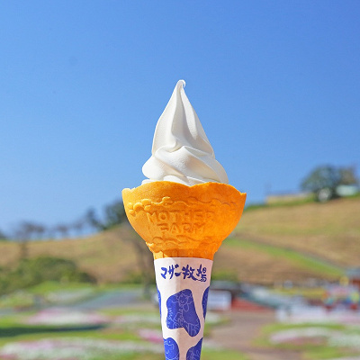 マザー牧場のソフトクリーム