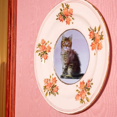 動く猫の肖像画のお皿