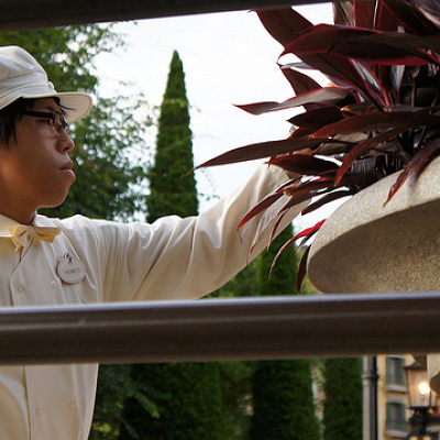 ディズニーシーで大人気の橋本さん