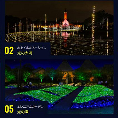 なばなの里イルミネーション