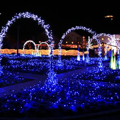 なばなの里　「光の雲海」