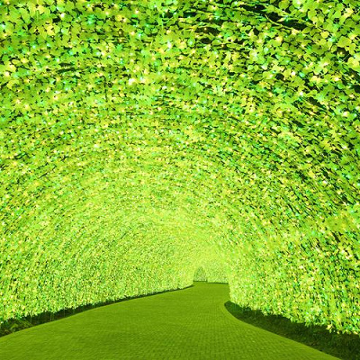 なばなの里　光のトンネル「ラベンダー」